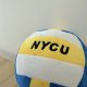 【現貨100顆，售完為止】NYCU刺繡1:1仿真排球抱枕