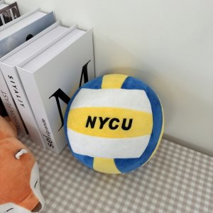 【現貨100顆，售完為止】NYCU刺繡1:1仿真排球抱枕