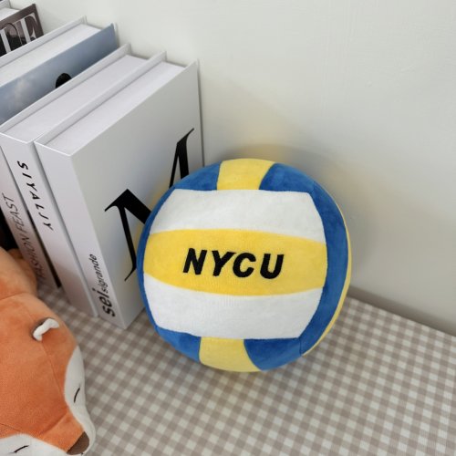 【現貨100顆，售完為止】NYCU刺繡1:1仿真排球抱枕