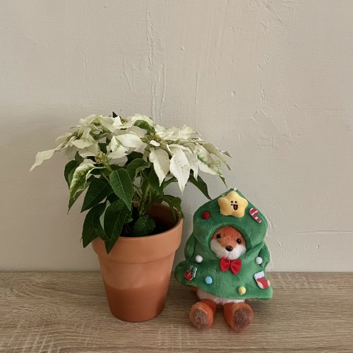 【聖誕限定，12月限時販售】變裝組合：NYCU毛茸茸小狐狸掛飾鑰匙圈_聖誕樹