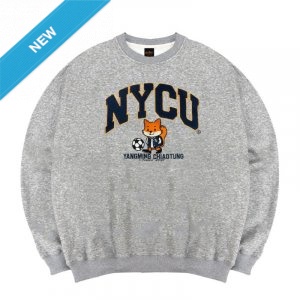 【預購至9/30，11/5陸續出貨】NYCU立體電繡竹狐落肩大學T_麻花灰